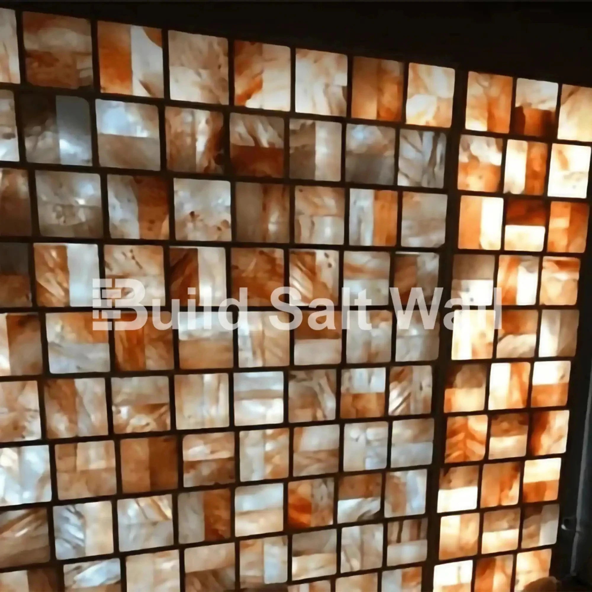 Build Salt Wall