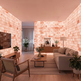 Himalayan Pink Salt Bricks 8" x 4" x 2" Pack of 1000 With 34 free Salt Adhesive Himalayan Pink Salt Bricks 8" x 4" x 2" Pack of 1000 With 34 free Salt Adhesive