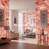 Himalayan Salt Bricks 8" x 4" x 2" Pack of 200 With 6 free Salt Adhesive Himalayan Salt Bricks 8" x 4" x 2" Pack of 200 With 6 free Salt Adhesive