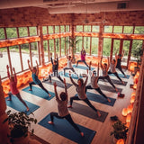 Himalayan Pink Salt Bricks 8" x 4" x 2" - Pack of 50 Himalayan Pink Salt Bricks 8" x 4" x 2" - Pack of 50