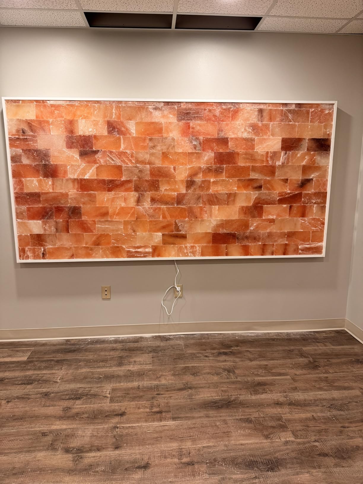 Build Salt Wall