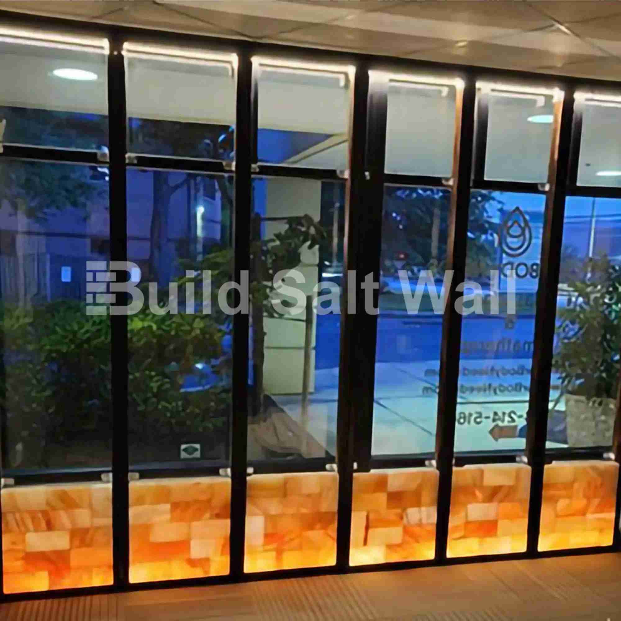 Build Salt Wall