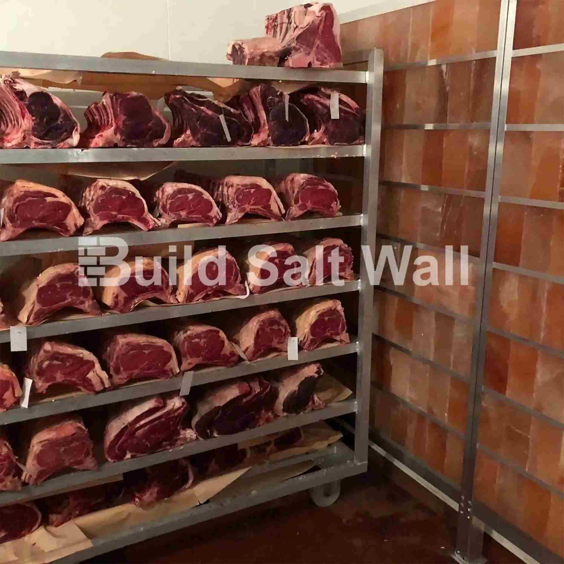 Build Salt Wall