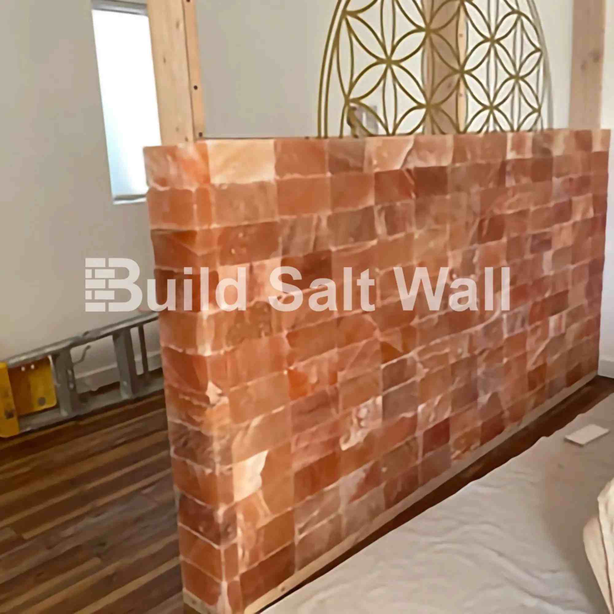 Build Salt Wall