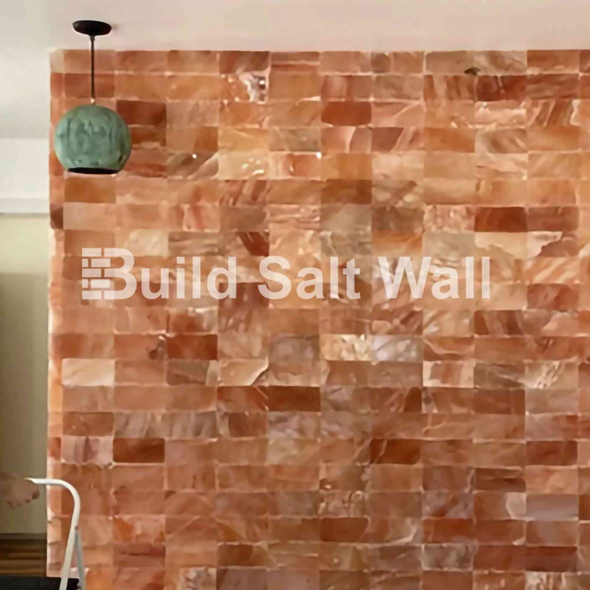 Build Salt Wall