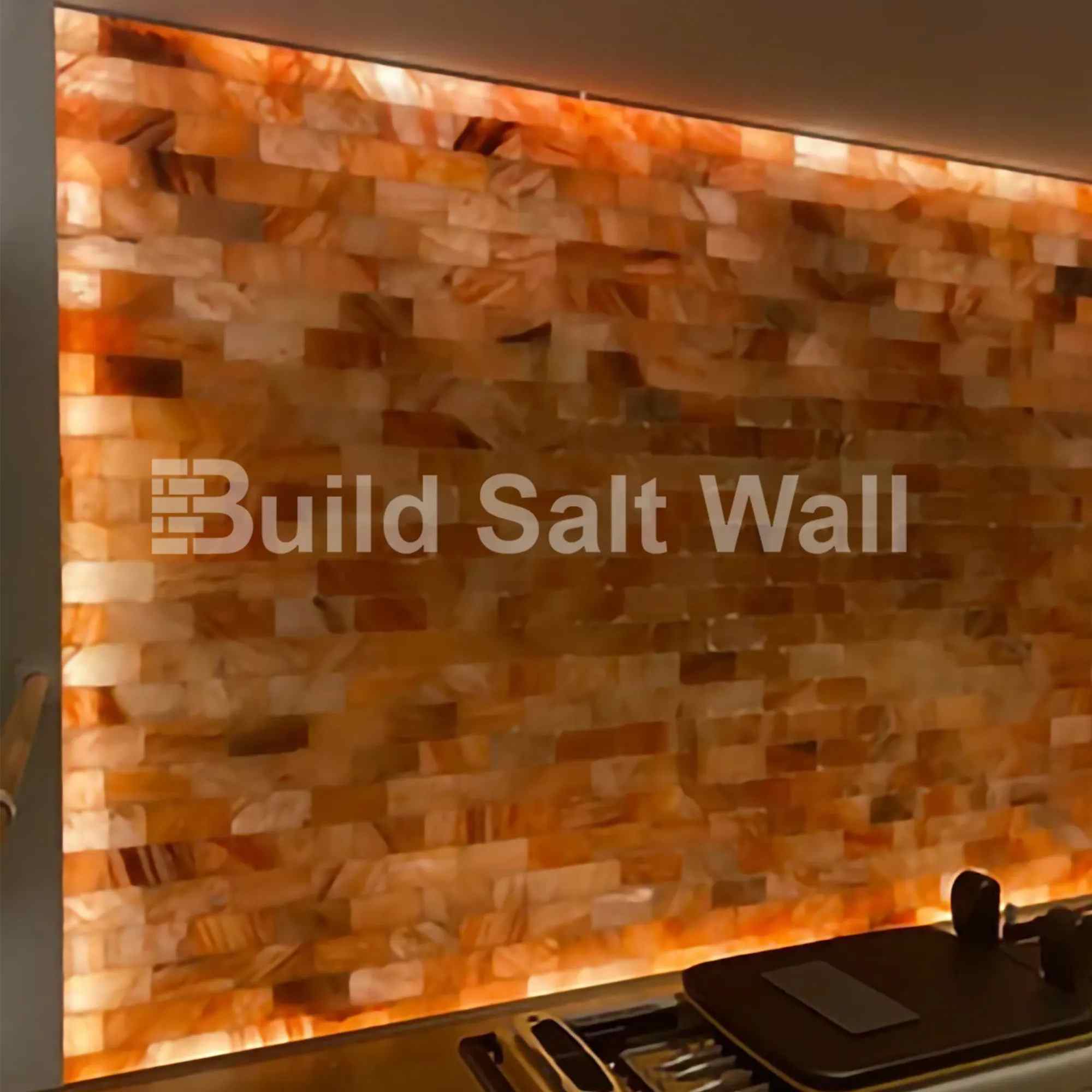 Build Salt Wall