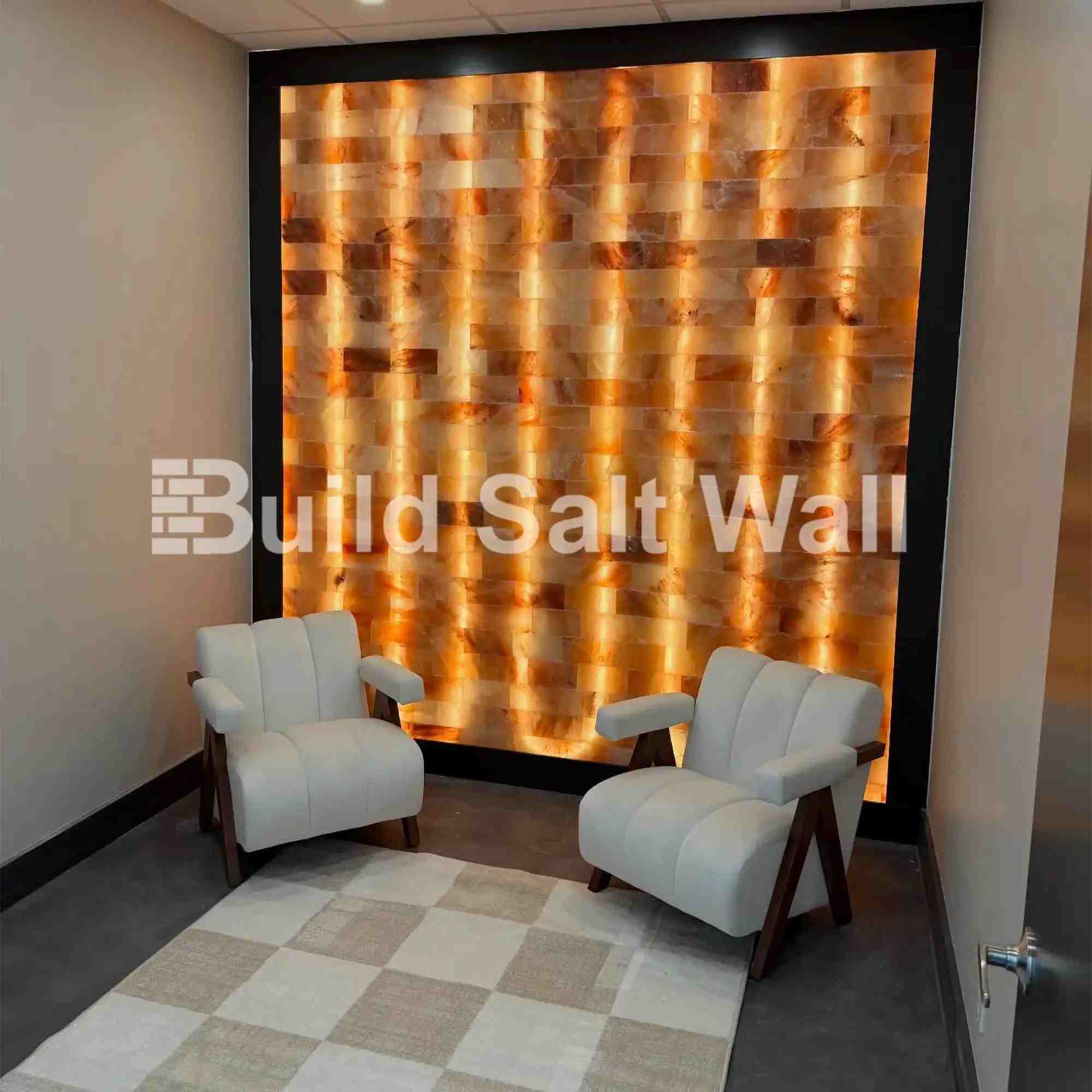 Build Salt Wall