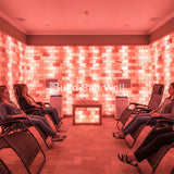 Himalayan Salt Bricks 8" x 4" x 2" - Pack of 10 Free Shipping Himalayan Salt Bricks 8" x 4" x 2" - Pack of 10 Free Shipping