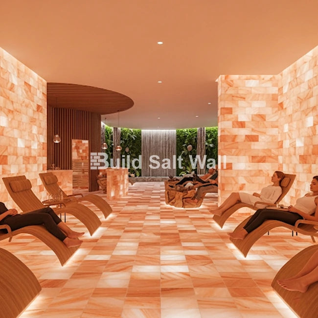 Himalayan Pink Salt Bricks 8" x 4" x 2" Pack of 10 With Free Salt Adhesive - Free Shipping Himalayan Pink Salt Bricks 8" x 4" x 2" Pack of 10 With Free Salt Adhesive - Free Shipping