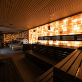 Himalayan Pink Salt Bricks 8" x 4" x 2" Pack of 10 With Free Salt Adhesive - Free Shipping Himalayan Pink Salt Bricks 8" x 4" x 2" Pack of 10 With Free Salt Adhesive - Free Shipping