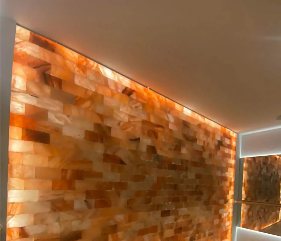 Himalayan salt bricks