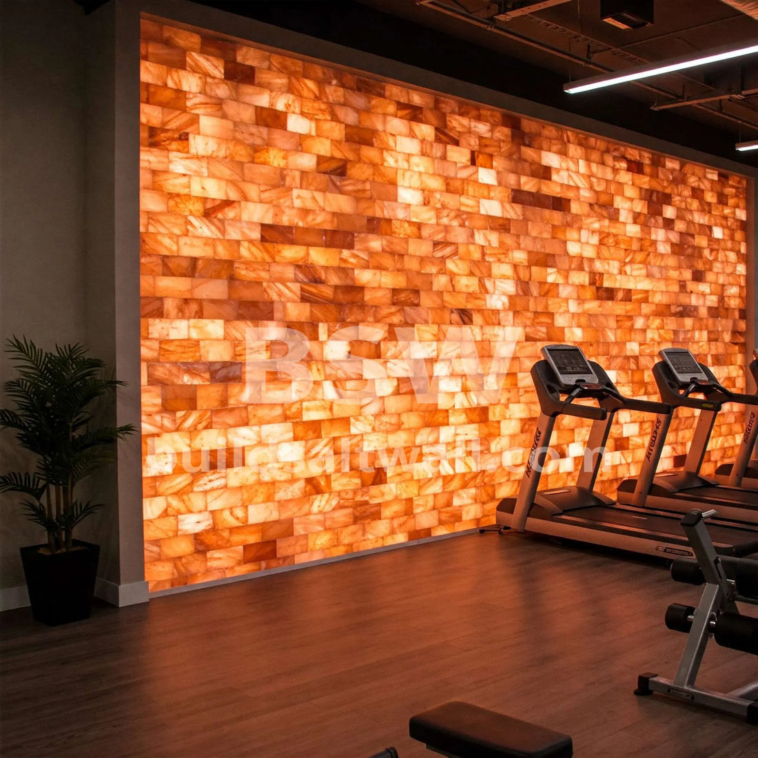 Pink Salt Bricks