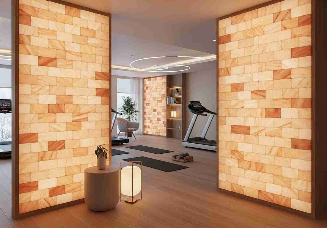 Himalayan Pink Salt Bricks