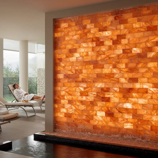  Pink Salt Tiles and Salt Bricks