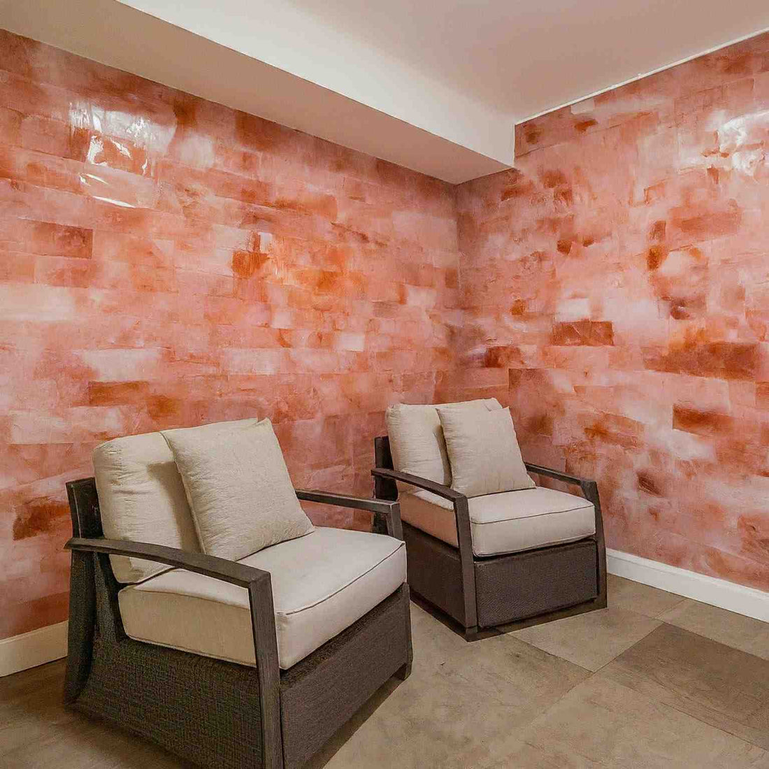 Himalayan salt bricks