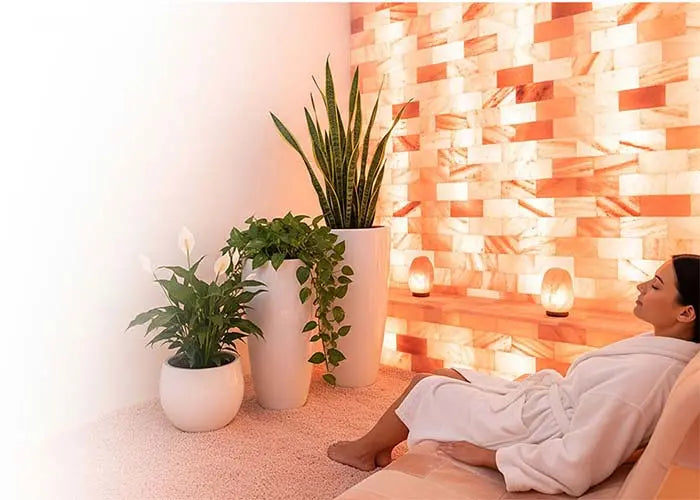 Wholesale salt bricks