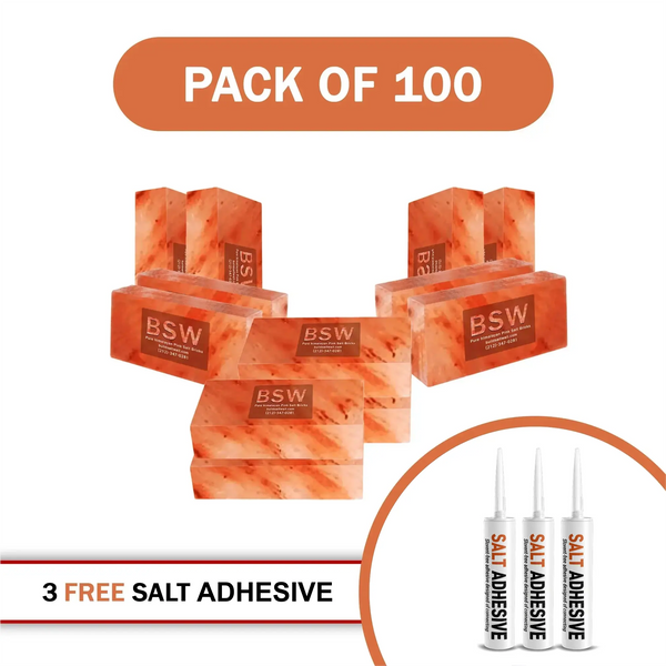 Himalayan Salt Bricks