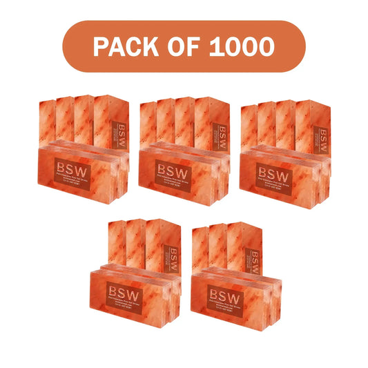 1000 Himalayan salt bricks