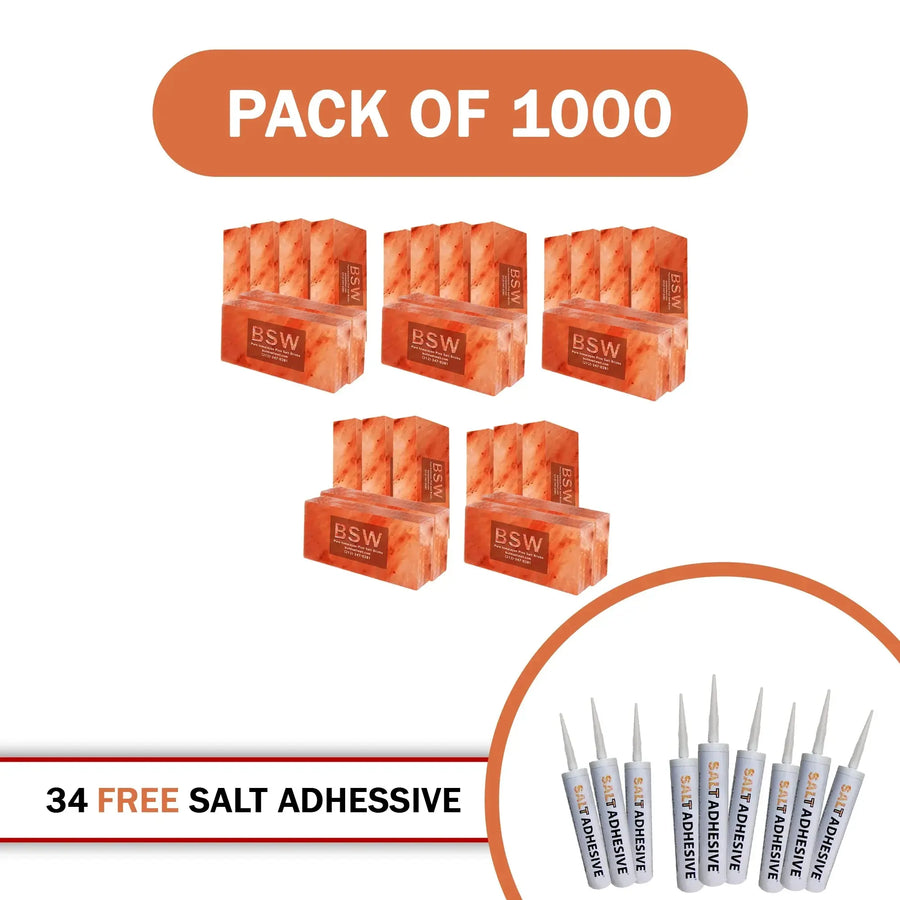1000 salt bricks with 34 salt adhesive 