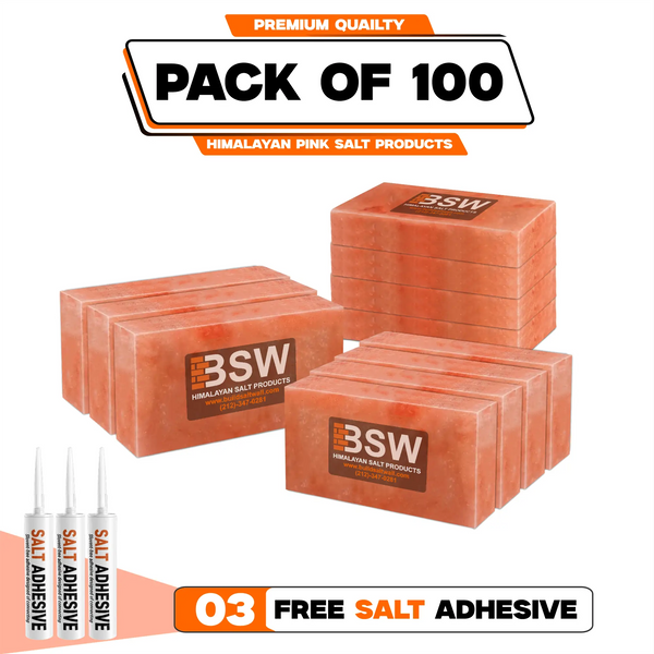 Himalayan Salt Bricks