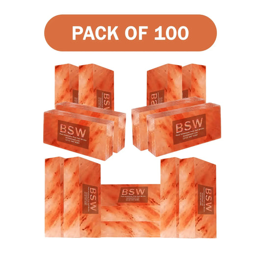 100 Himalayan salt bricks