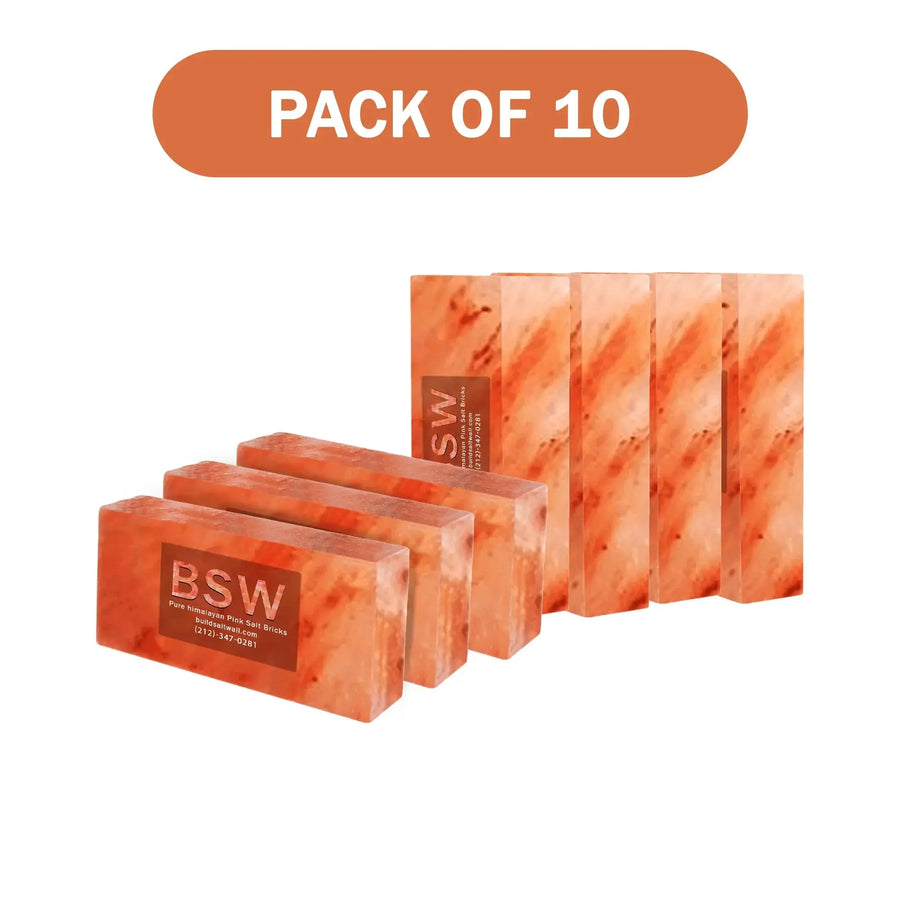 Himalayan salt bricks pack of 10