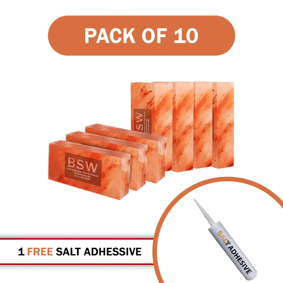 10 Himalayan salt bricks with 1 adhesive 