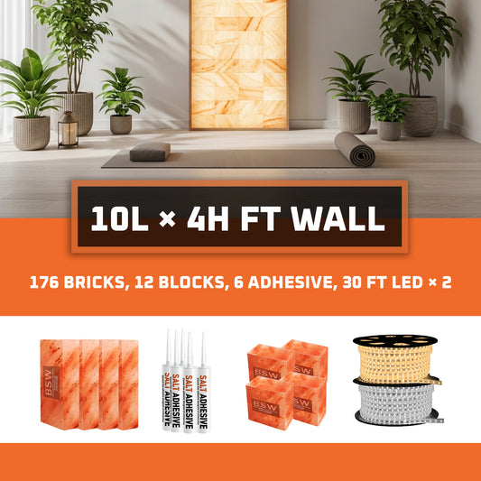 Himalayan Salt Bricks Wall Pack  (10L × 4H 