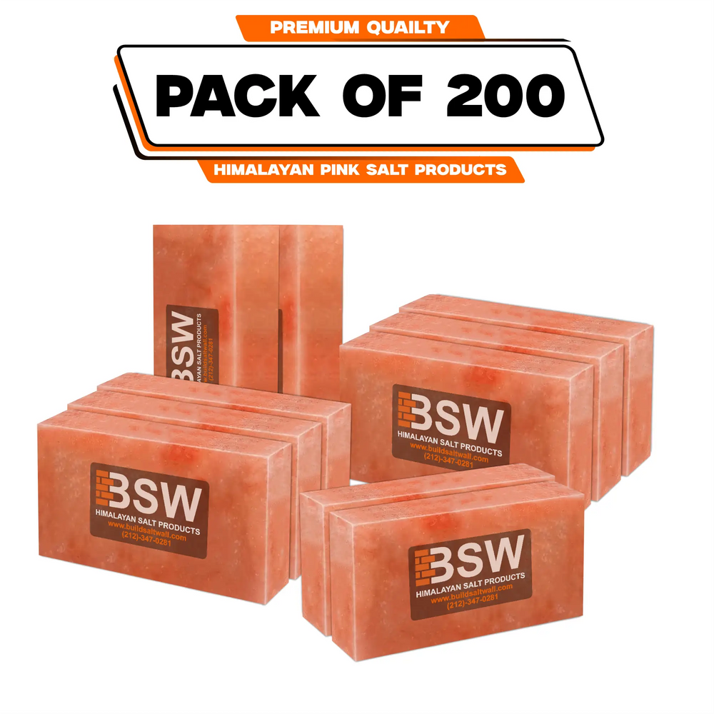 200 Himalayan Salt Bricks 