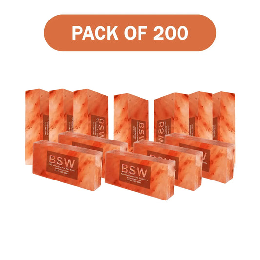 200 Himalayan salt bricks