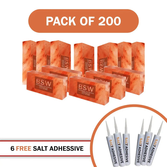 200 Himalayan salt bricks with 6 salt adhesive