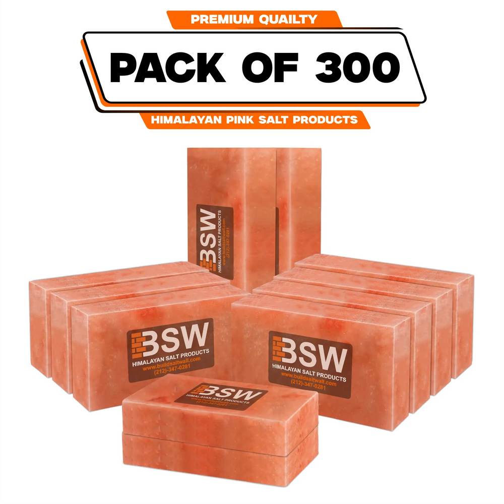 300 Himalayan pink salt bricks