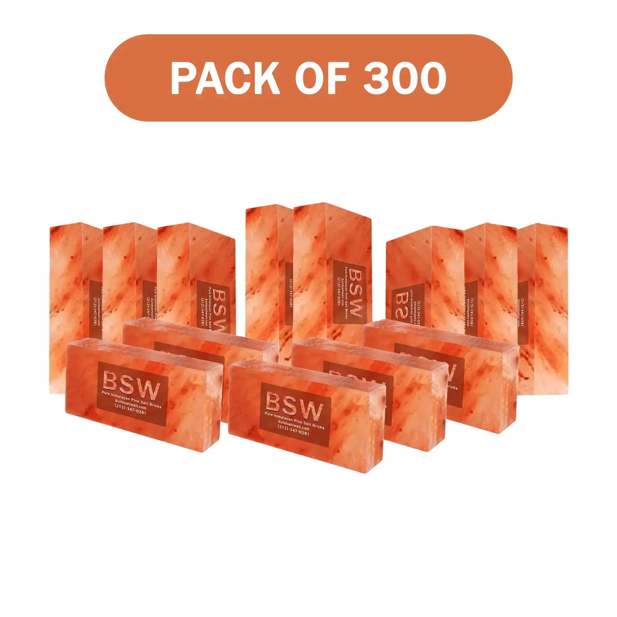 300 Himalayan salt bricks
