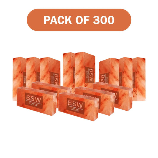 300 Himalayan salt bricks