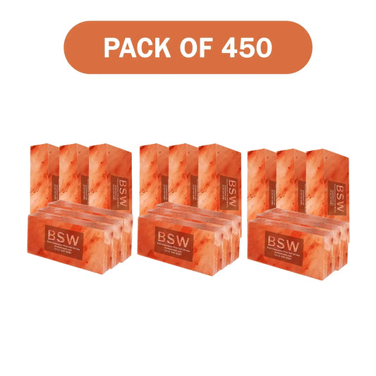 450 Himalayan salt bricks