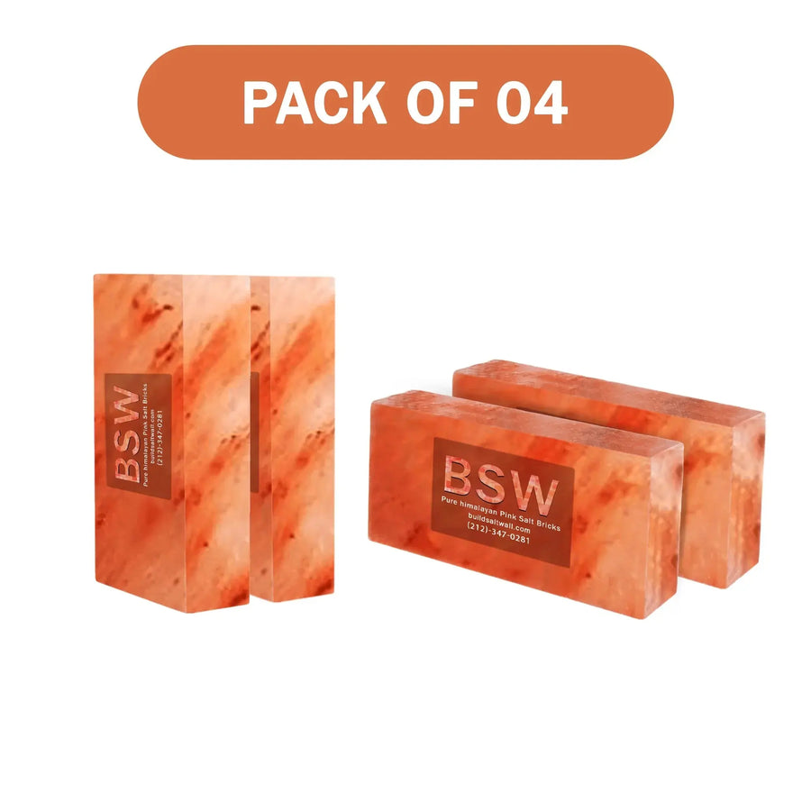 4 Himalayan salt bricks