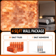 4 sq.ft wall with 20 salt tiles with 1 salt adhesive