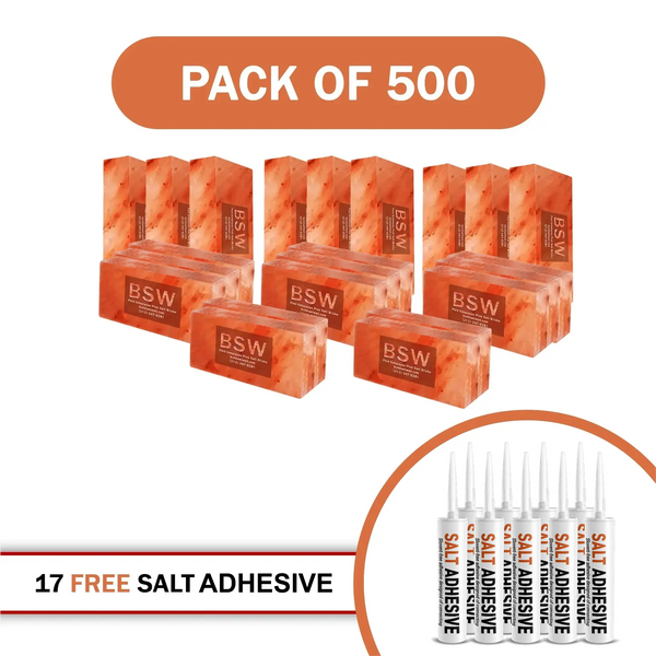 Himalayan Salt Bricks