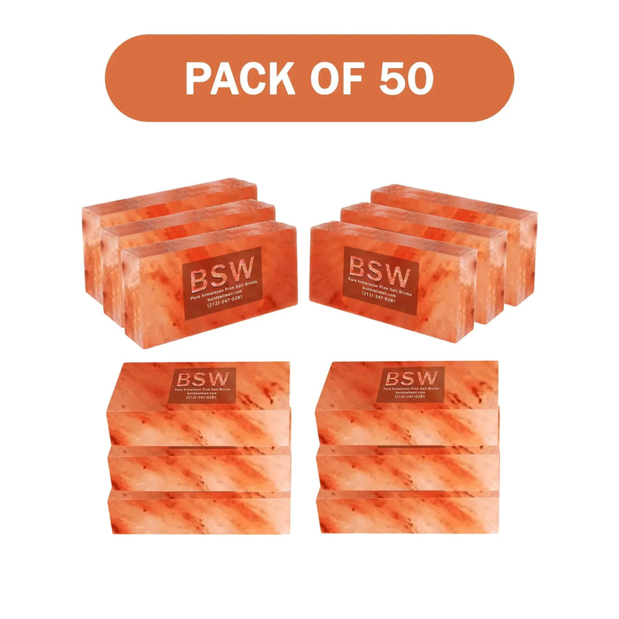 Himalayan salt bricks pack of 50