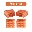 Himalayan salt bricks pack of 50