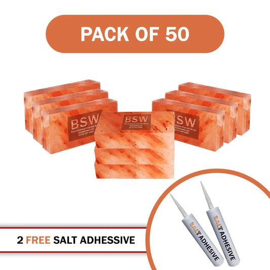 50 salt bricks with 2 adhesive