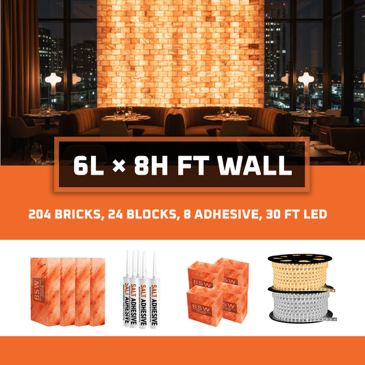 Himalayan Salt Bricks Wall Pack  (6L × 8H 