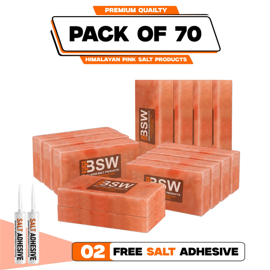 70 salt bricks with 2 adhesive
