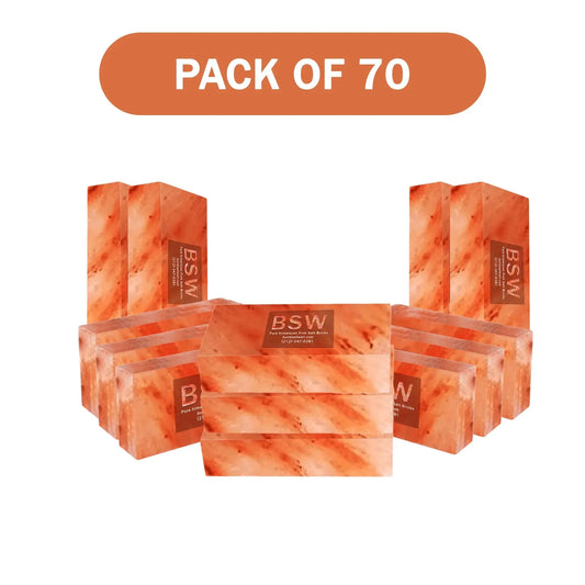 Himalayan pink salt bricks pack of 70