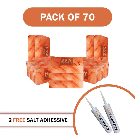 70 salt bricks with 2 adhesive