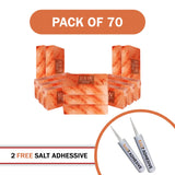 70 salt bricks with 2 adhesive