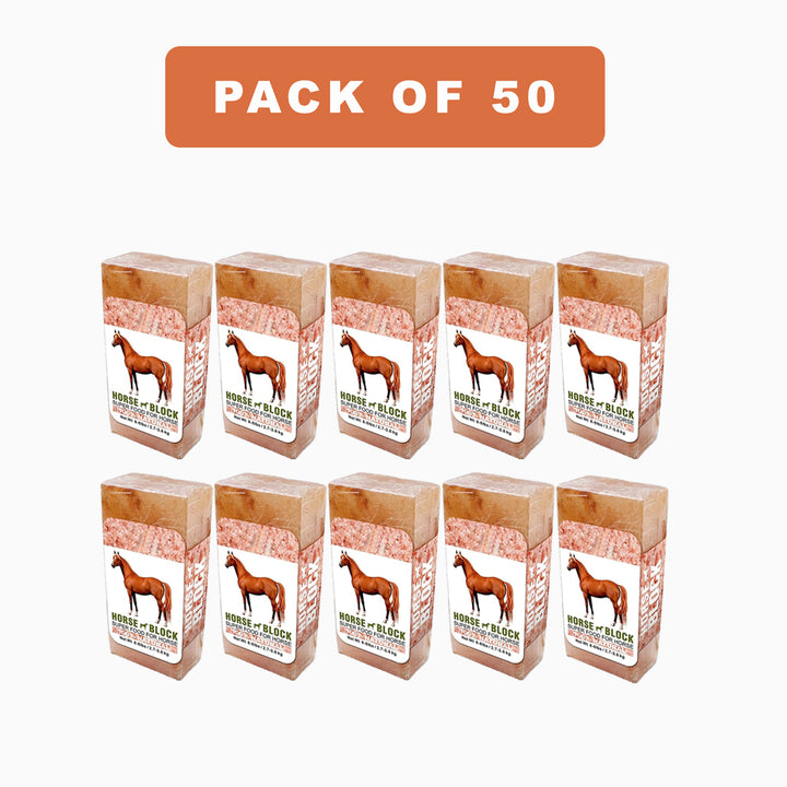 Animal Salt Lick pack of 50