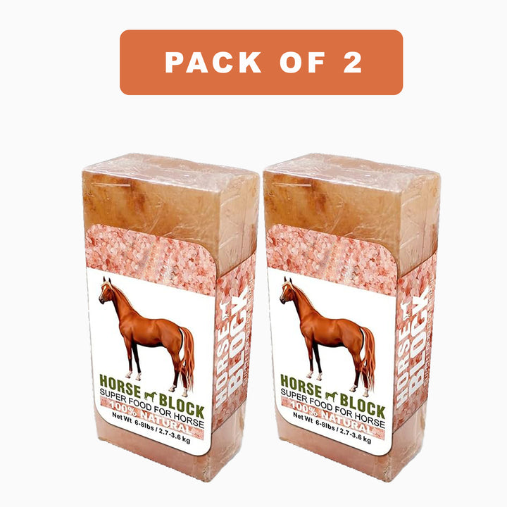 Animal Salt Lick pack of 2