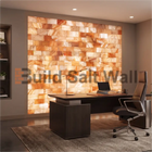 Backlit Himalayan Pink Salt Brick Feature Wall in Modern Executive Office