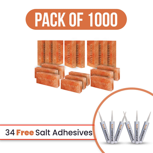 Salt Bricks 1000 with free salt adhesive